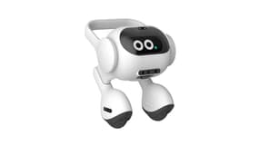 LG présente son robot de compagnie au CES 2024