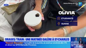 Orages: une matinée de galère à la gare Saint-Charles de Marseille