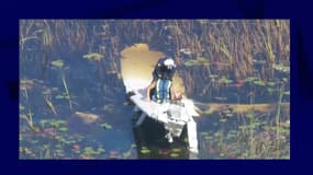 Un homme s'est écrasé dans un marais rempli d'alligators en Floride et a été secouru le 31 octobre 2023.