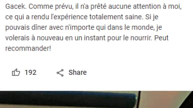 Un chat polonais trop enrobé devient une attraction touristique à 5 étoiles sur Google Maps Un chat polonais trop enrobé devient une attraction touristique à 5 étoiles sur Google Maps