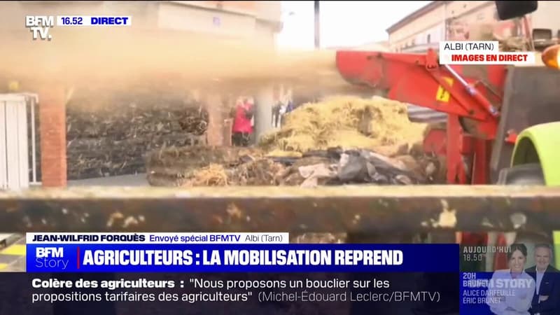 À Albi, des agriculteurs déversent du fumier et de la paille devant le bâtiment de la Direction départementale des territoires du Tarn