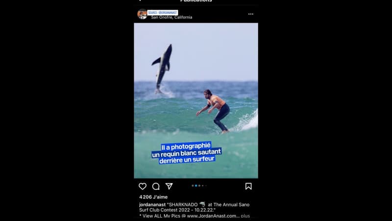 La superbe photo d'un requin blanc sautant derrière un surfeur fait le tour du monde