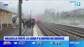 Seine-et-Marne: la ligne P reprend du service, un soulagement pour les usagers