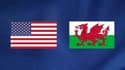 Diffusion États-Unis – Pays de Galles : à quelle heure et sur quelle chaîne voir le match ?