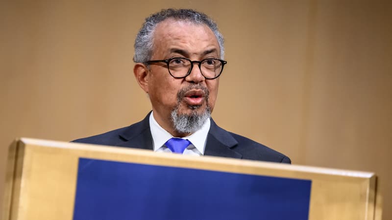 Le directeur de l'OMS se dit "profondément préoccupé par l'ampleur et la rapidité" de l'épidémie d'Ebola en République démocratique du Congo