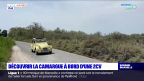 L'été chez nous: à la découverte de la Camargue au volant d'une 2 chevaux