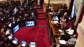 La séance du Sénat présidée par Cristina Kirchner. 