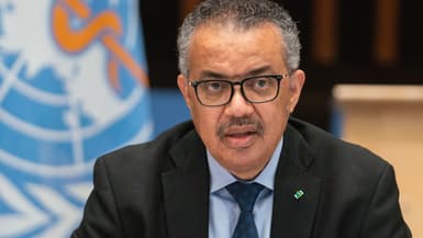 Le directeur général de l'Organisation mondiale de la santé Tedros Adhanom Ghebreyesus (illustration)