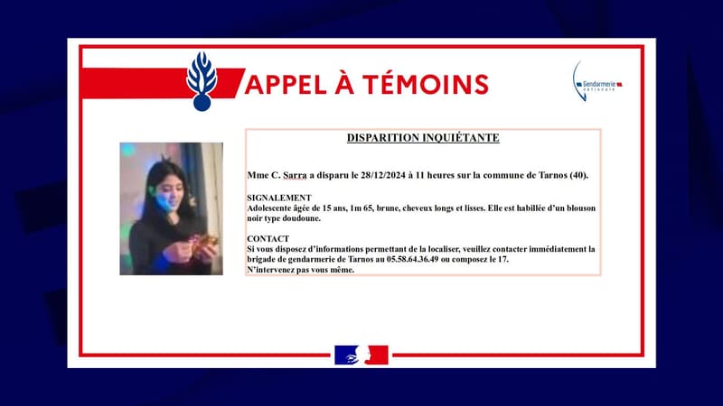 L'appel à témoins diffusé par la gendarmerie des Landes le 29 décembre 2024