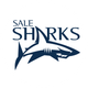Sale Sharks