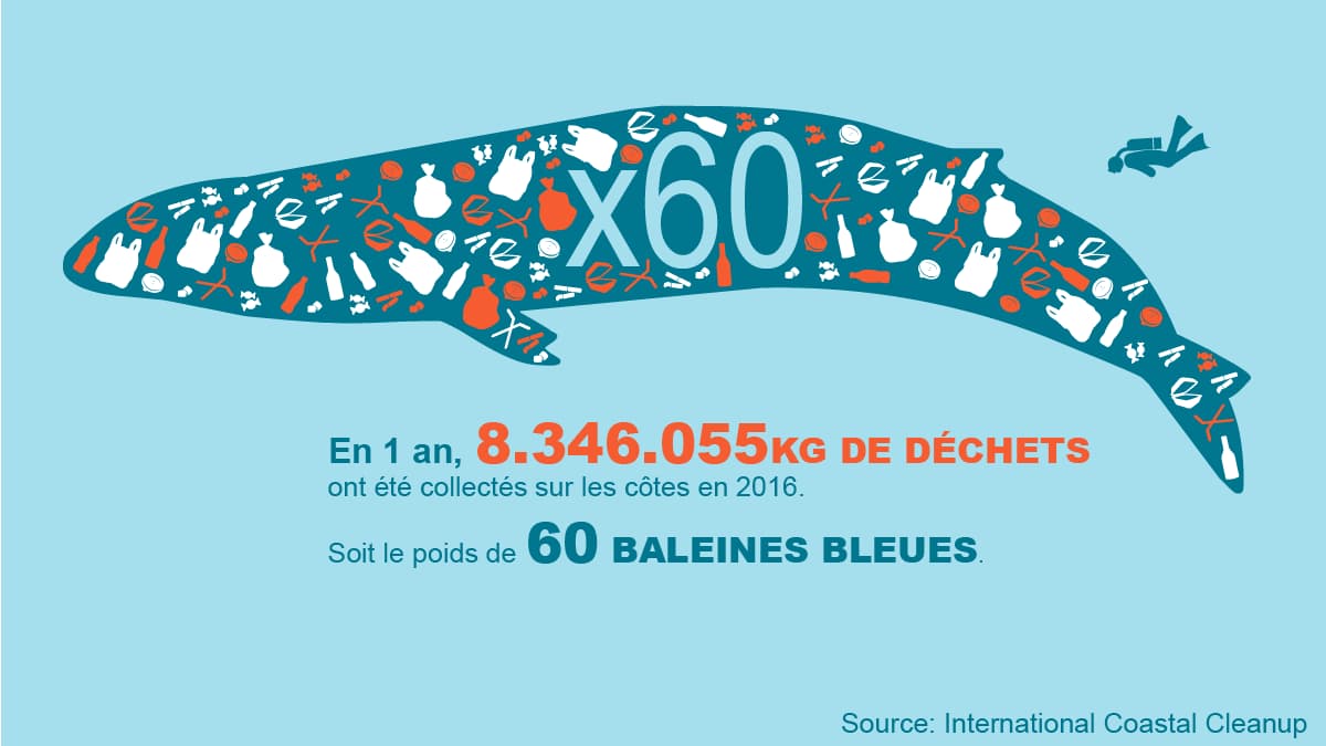 infog déchets océan