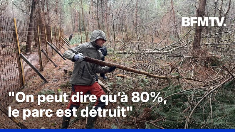 ROBIN DE BFM - La solidarité s’organise en Gironde après le passage de la tempête Nils