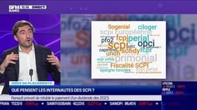 Idée de placements : Que pensent les internautes des SCPI ? - 08/11