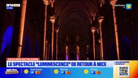 Nice : le spectacle "luminescence" illumine la basilique Notre-Dame
