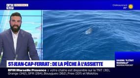 JT du Sud du lundi 3 juin