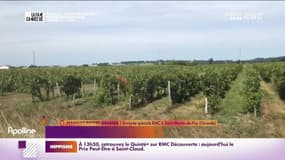 RMC chez vous : Bordeaux, les vendanges s'annoncent moins bonnes - 14/09
