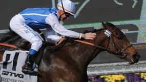 Goldikova a marqué l'histoire des courses 