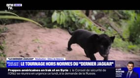 Dans les coulisses du film "Le Dernier Jaguar", qui sort ce mercredi en salles