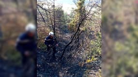 Plus d'une soixantaine de sapeurs-pompiers ont été mobilisés.