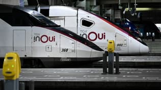 Des trains, Gare Montparnasse, le 19 janvier 2023 (image d'illustration). 