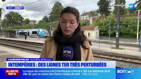 Intempéries: la circulation des trains fortement perturbée dans le Rhône