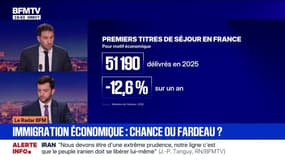 Le Radar BFM - L’immigration de travail en recul de 12,6% sur un an en France