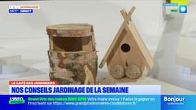Le Café des Jardiniers: un petit coup de main pour les oiseaux lors de l'hiver