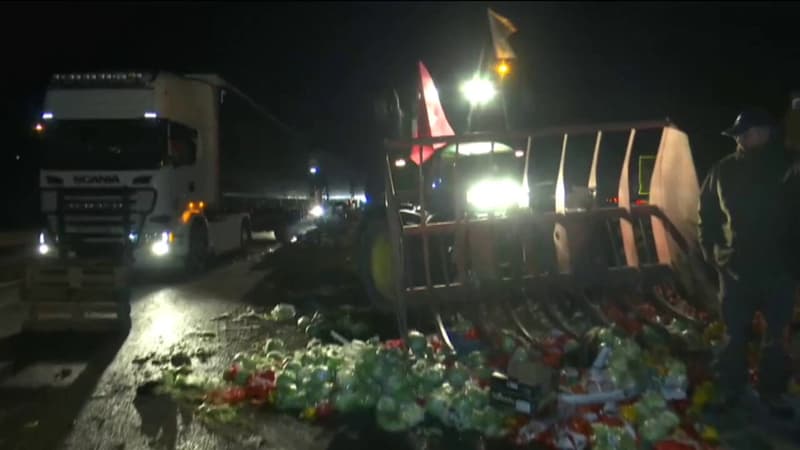 Montélimar: des camions étrangers arrêtés par des agriculteurs sur l'A7, les marchandises brûlées ou données