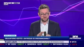 Sur le green : Obligations vertes, un risque de Greenwashing ? - 09/03
