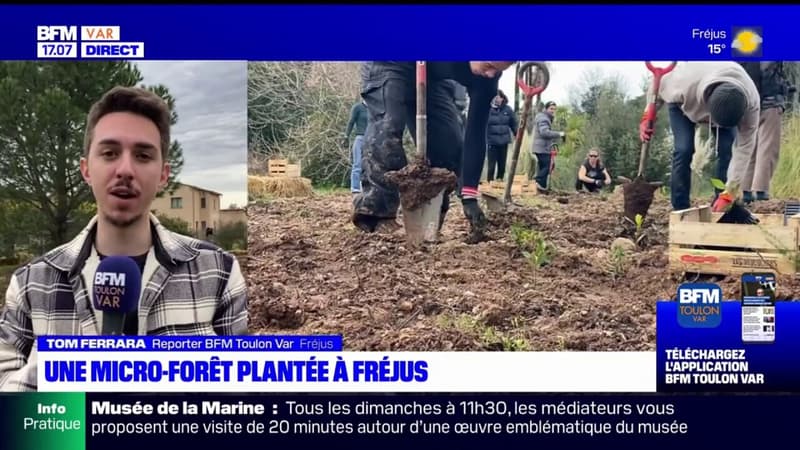 Fréjus: un chantier participatif pour planter une micro-forêt