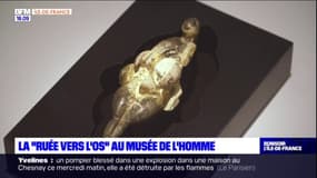 Paris: la "Ruée vers l'os" au musée de l'Homme
