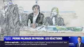"Aucun jugement ne sera à la hauteur": Pierre Palmade condamné à cinq ans de prison dont deux ans ferme