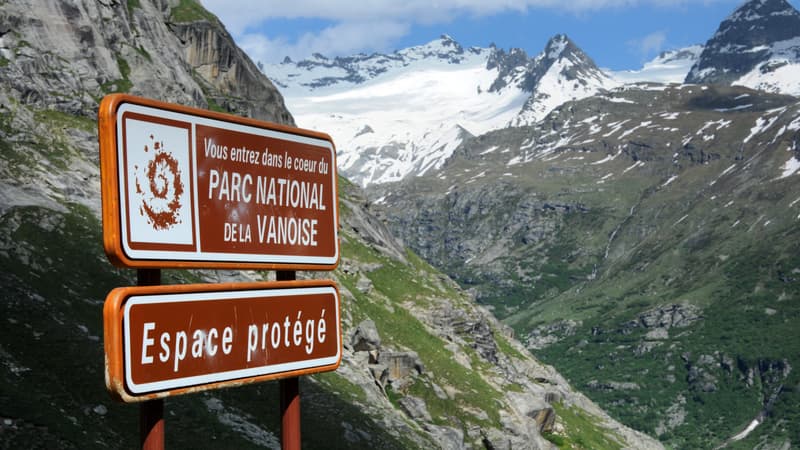 Le parc de la Vanoise, le 4 juillet 2013. 