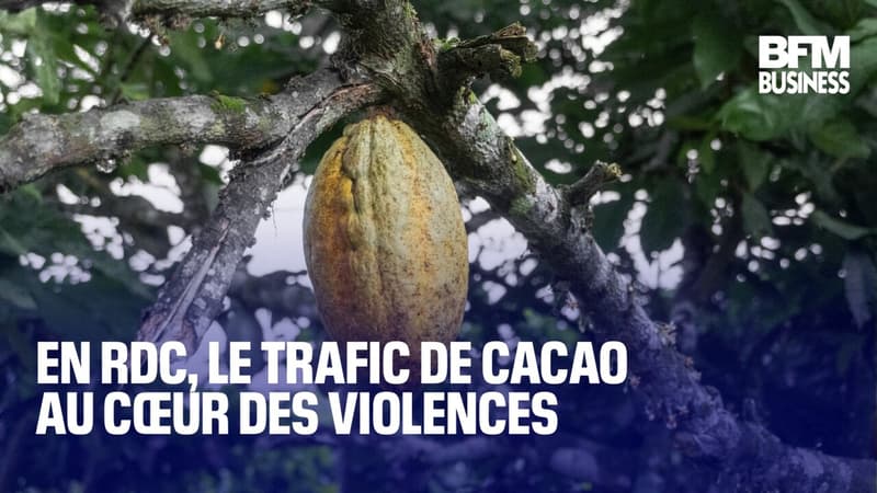 En RDC, le trafic de cacao au coeur des violences