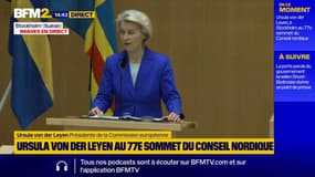 Défense: "Jusqu'à 800 milliards d'euros" mobilisés par l'Europe "d'ici la fin de la décennie", annonce Ursula von der Leyen