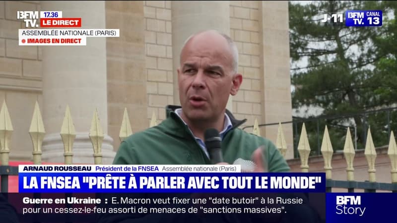 Loi Duplomb: Arnaud Rousseau, président de la FNSEA, dénonce une 