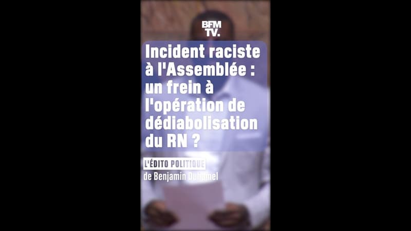 ÉDITO - Incident raciste à l'Assemblée : un frein à l'opération de dédiabolisation du RN ?