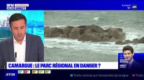 Le parc régional de Camargue est-il en danger?