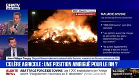 Colère des agriculteurs: "Les éleveurs savent que ce gouvernement ne les soutient pas" affirme Jean-Philippe Tanguy