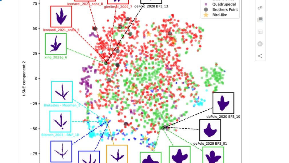 Graphique de la répartition globale des variations des empreintes de la base de données de l'étude