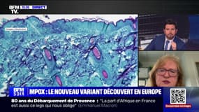 Rosamund Lewis (responsable technique à l'OMS pour la variole du singe): "Les autorités sanitaires européennes doivent augmenter la vigilance (...) Pour la population générale, le risque reste très bas"