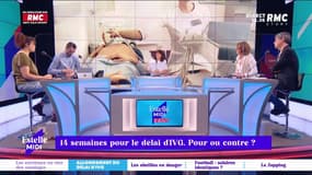14 semaines pour le délai d'IVG : pour ou contre ? "Je suis pour tout ce qui permet aux femmes de ne pas rester prisonnières d’une grossesse non désirée" affirme Catherine Rambert.
