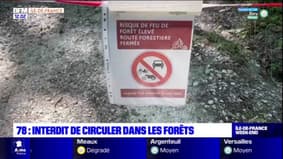 Yvelines: il est interdit de circuler dans les forêts
