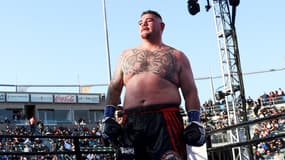 Andy Ruiz Jr