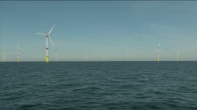 Des éoliennes dans la baie de Saint-Nazaire, en Loire-Atlantique