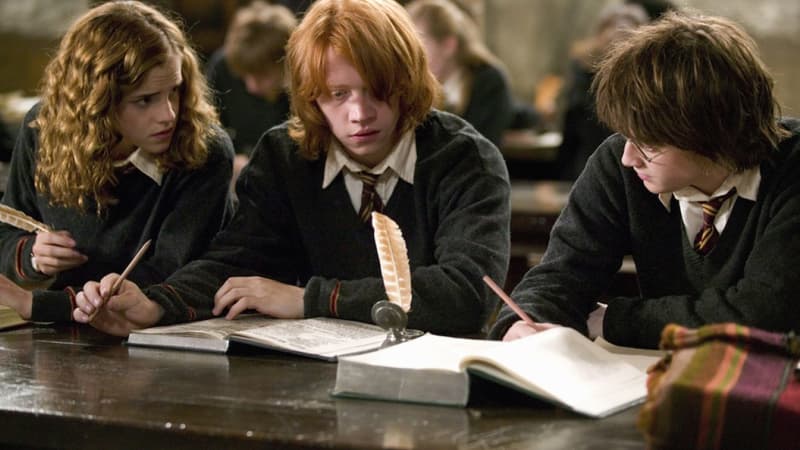 Hermione, Ron et Harry dans la saga de films "Harry Potter"