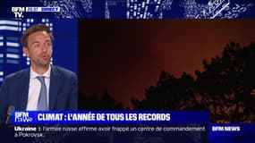 Climat : l'année de tous les records - 08/08