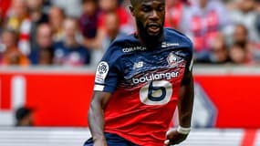 Bamba (LOSC)
