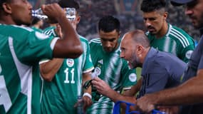 Djamel Belmadi lors du match Mauritanie-Algérie, le 23 janvier 2024.