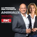 RMC : 28/05 - Vos Animaux - 7h-8h